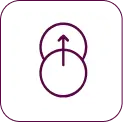 Release Icon