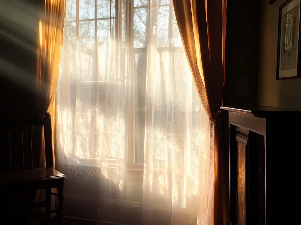 Peaceful window view symbolizing reflection, recovery, and emotional well-being